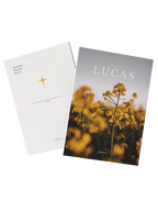 Kit 2 Livros Divinal — livros bíblicos com design editorial