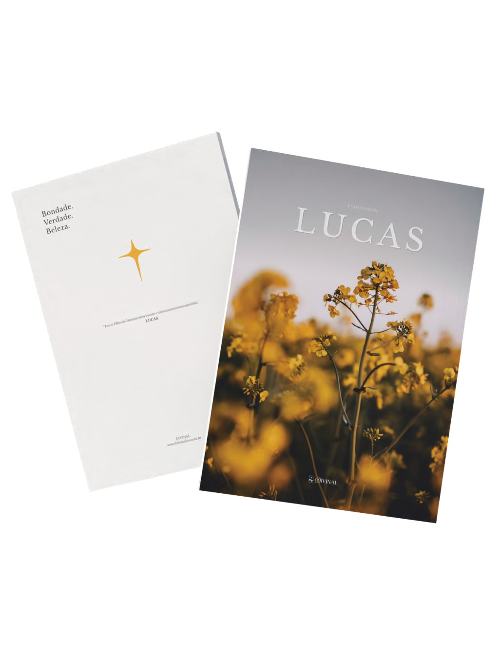 Kit 2 Livros Divinal — livros bíblicos com design editorial
