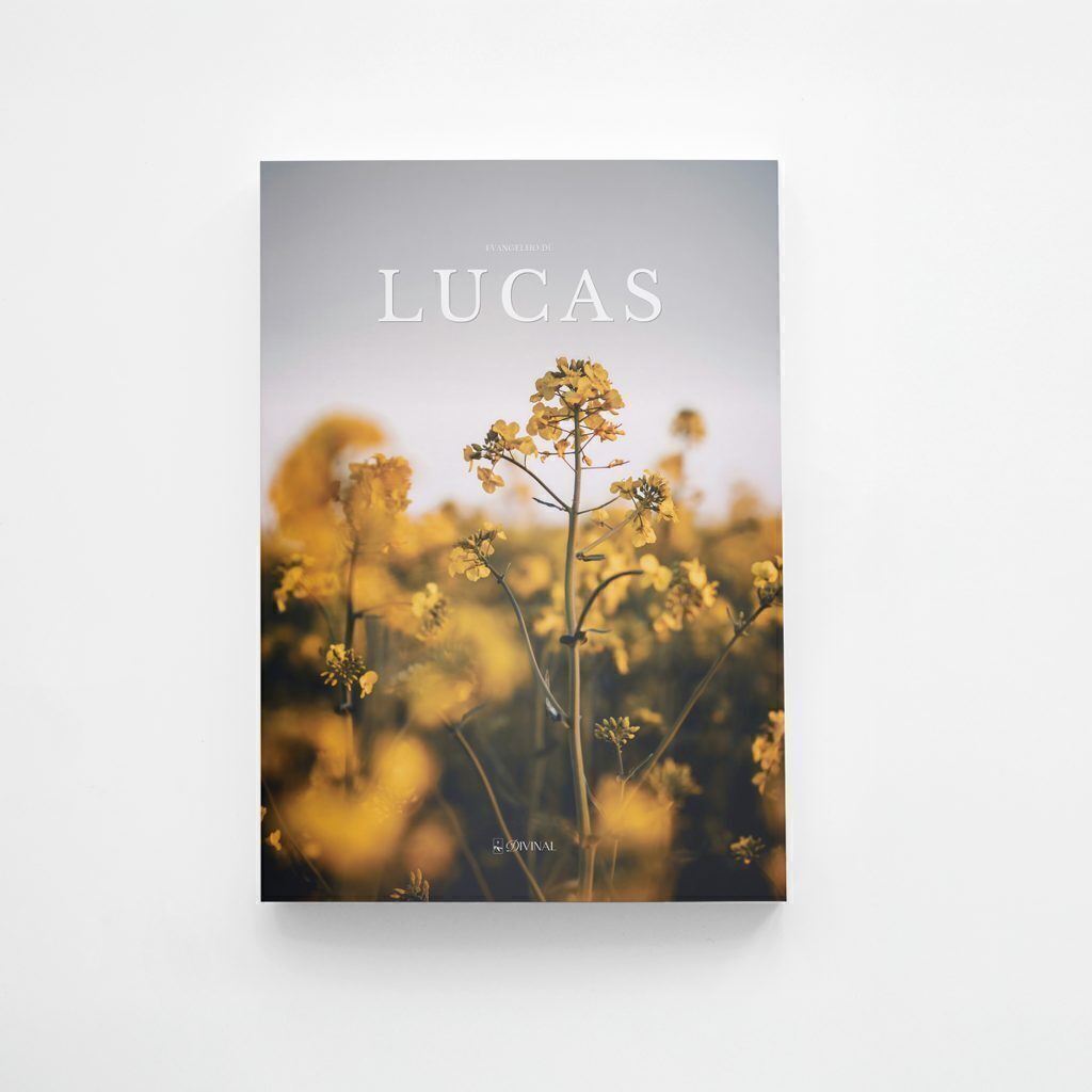 A Coleção Completa Divinal — 9 livros bíblicos com design editorial