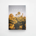 A Coleção Completa Divinal — 9 livros bíblicos com design editorial