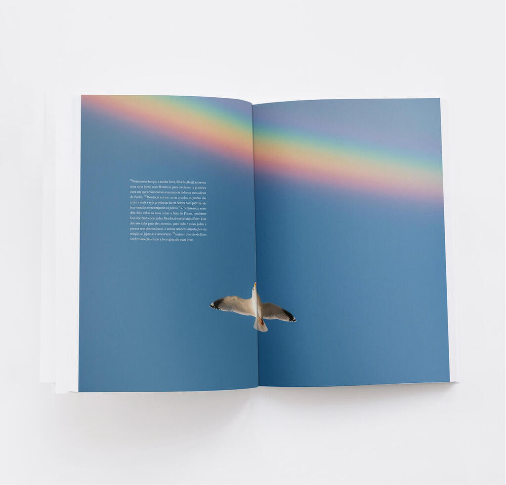 A Coleção Completa Divinal — 9 livros bíblicos com design editorial