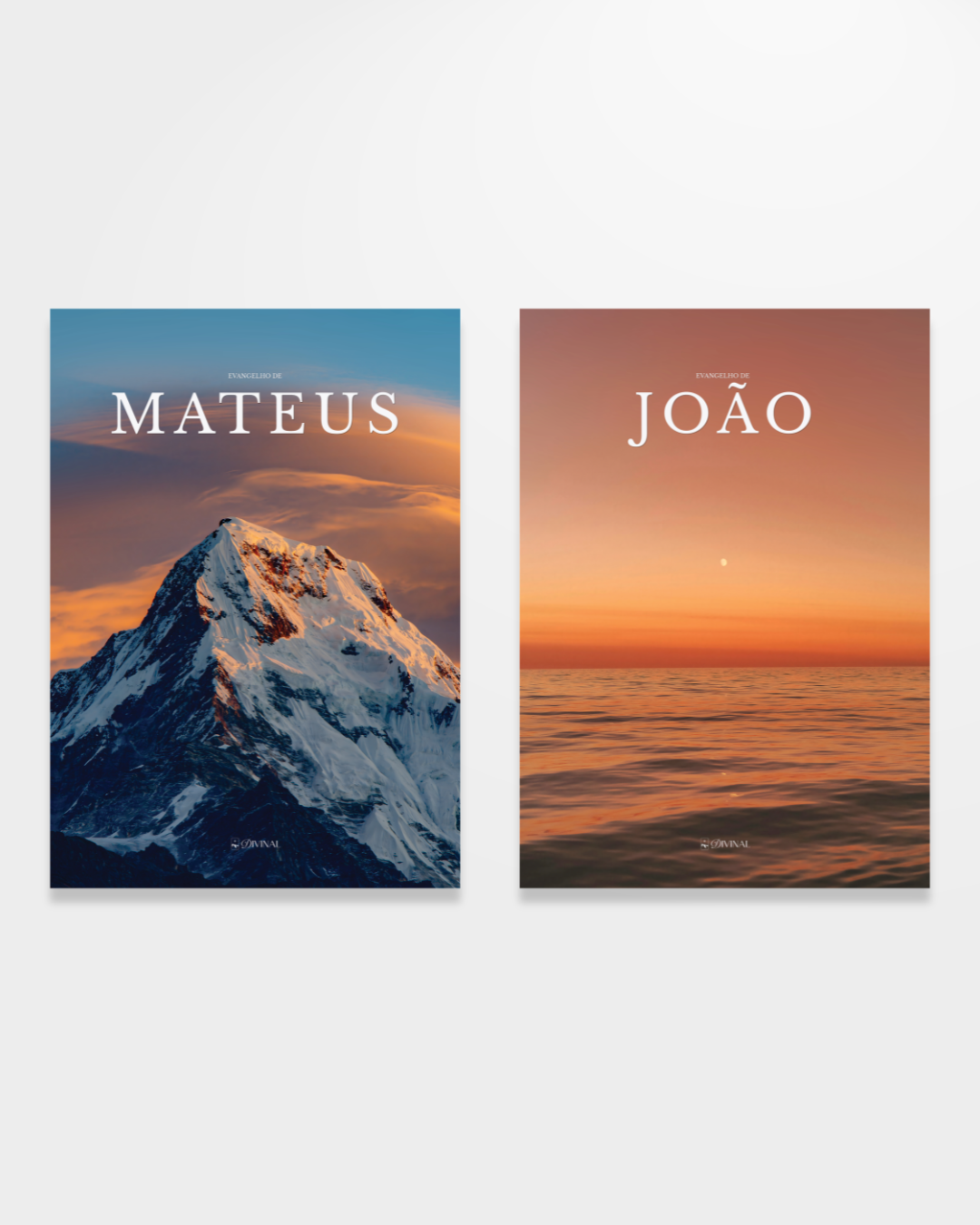 Kit 2 Livros