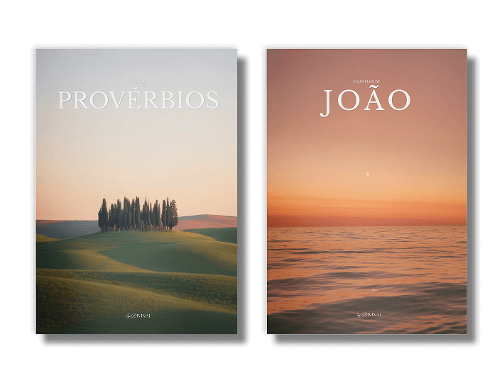 Kit 2 Livros Divinal — livros bíblicos com design editorial