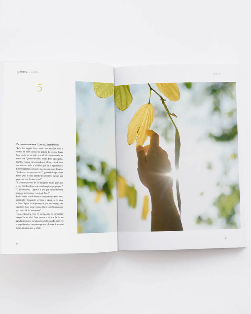 Livro de Eclesiastes — Bíblia Divinal com design editorial