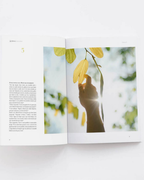 Livro de Eclesiastes — Bíblia Divinal com design editorial