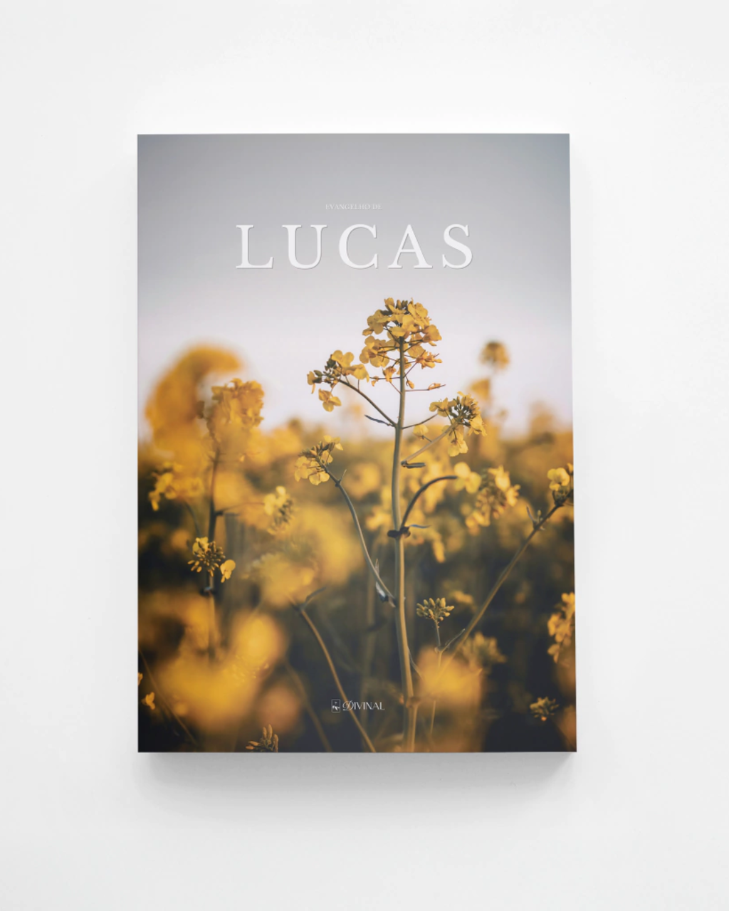 Evangelho de Lucas — Bíblia Divinal com design editorial