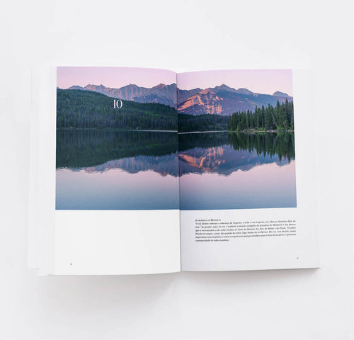 Rute e Ester Divinal — livros bíblicos com design editorial