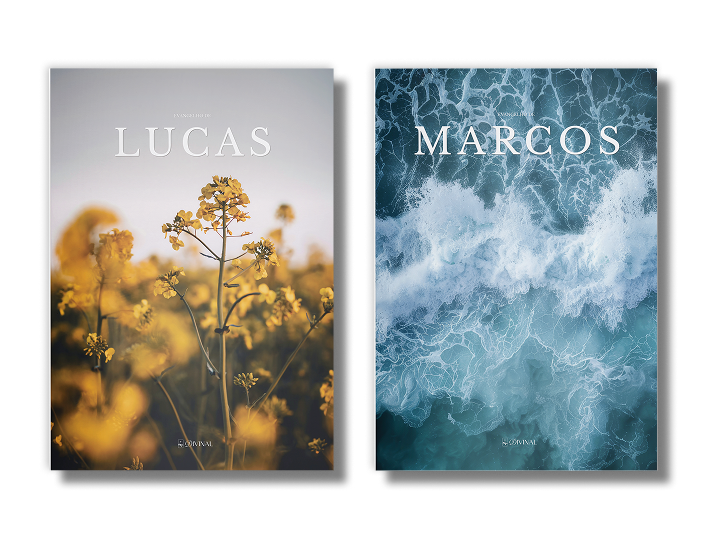 Kit 2 Livros Divinal — livros bíblicos com design editorial