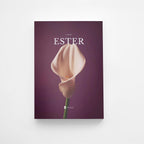 A Coleção Completa Divinal — 9 livros bíblicos com design editorial