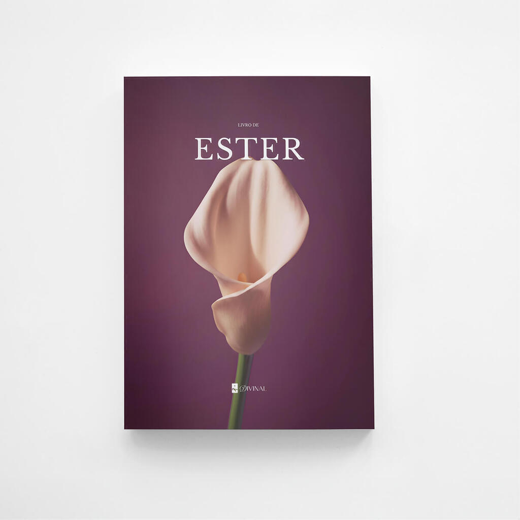 A Coleção Completa Divinal — 9 livros bíblicos com design editorial