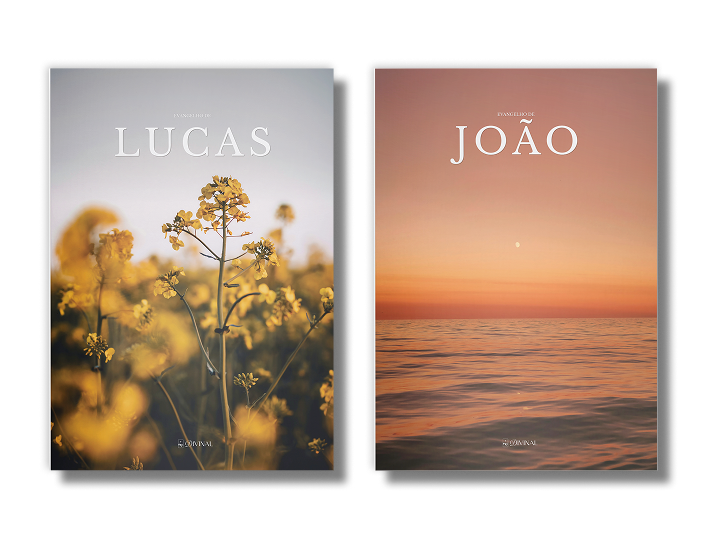 Kit 2 Livros Divinal — livros bíblicos com design editorial