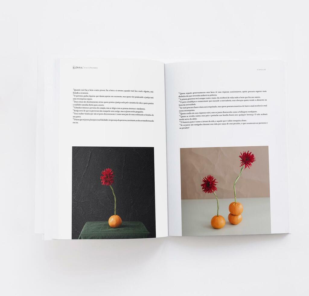 Livro de Provérbios — páginas internas, edição Divinal