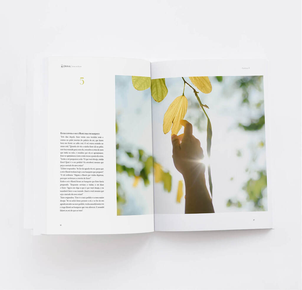 Rute e Ester Divinal — livros bíblicos com design editorial