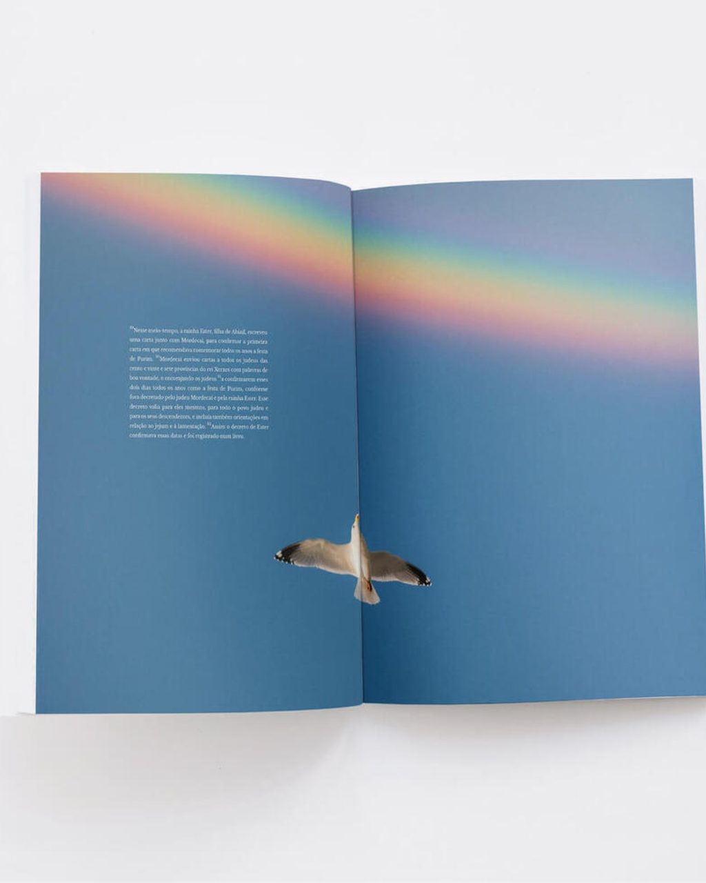 Salmos e Eclesiastes Divinal — coleção com design editorial