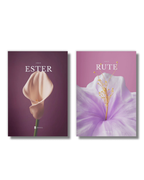 Livro de Ester — páginas internas, edição Divinal