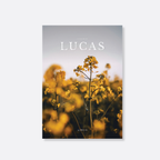Evangelho de Lucas