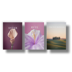 Rute e Ester Divinal — livros bíblicos com design editorial