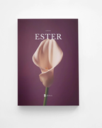 Livro de Ester — Bíblia Divinal com design editorial