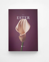Livro de Ester — Bíblia Divinal com design editorial