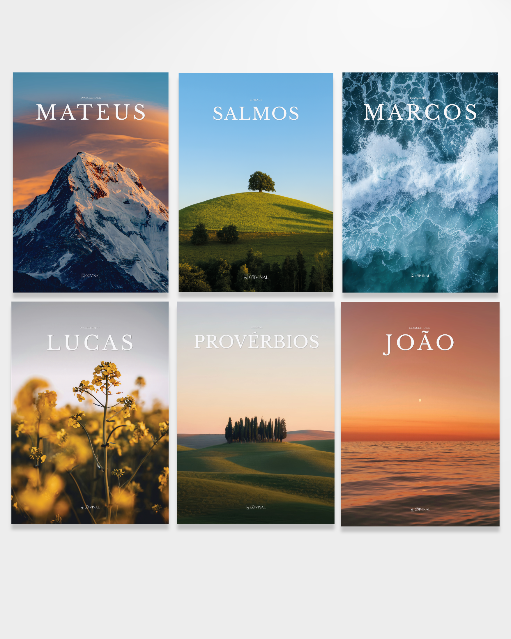 Coleção Essencial